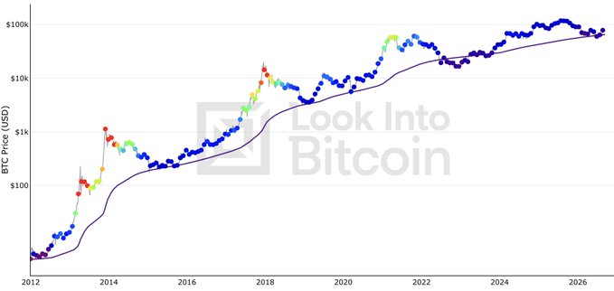 A line graph titled "Look Into Bitcoin" tracking the BTC Price in USD on a logarithmic scale from 2012 to 2026, with data points colored from blue to green and red.