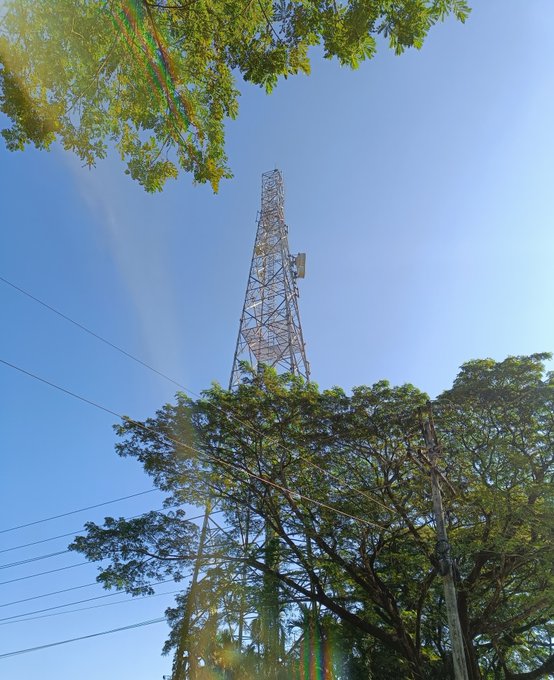 A tall metal lattice tower rises into a clear blue sky, viewed from below through the canopy of green trees with sunlight creating lens flares.