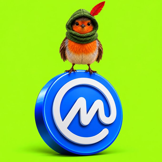 A small robin wearing a green knit hood with a red feather perches atop a blue CoinMarketCap (CMC) logo coin against a bright green background. The image visually reinforces the post about submitting a listing request to Robinhood through CoinMarketCap, with Request ID 1455596, by combining the brand's mascot bird with the CMC platform's logo.