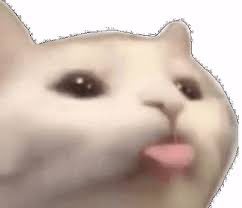A close-up meme image of a cat with its tongue sticking out to lick its nose, appearing blurry against a white background.