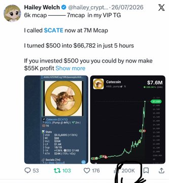 A screenshot of a tweet from Hailey Welch (@hailey_crypt...) promoting "$CATE" token, showing claims of turning $500 into $66,782 in 5 hours, with a call at 7M market cap and chart images of Catcecon at $7.6M and LoungeToken ($CATE) displayed. The post markets her crypto picks to followers, urging them to copy contract addresses from her notifications for future calls like $Jimothy.