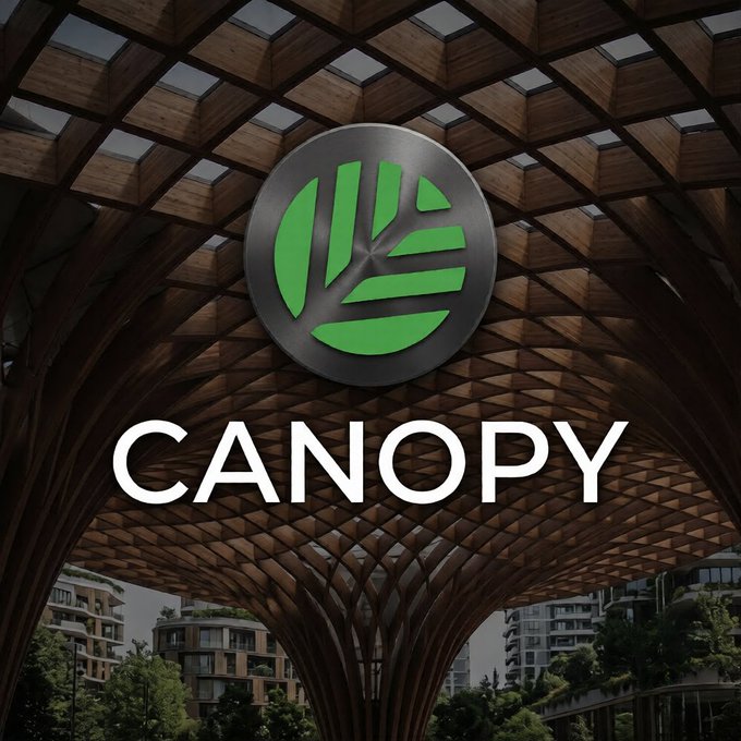 A logo for 'CANOPY' featuring a green leaf design on a metallic circle, set against the backdrop of a geometric wooden architectural canopy structure.