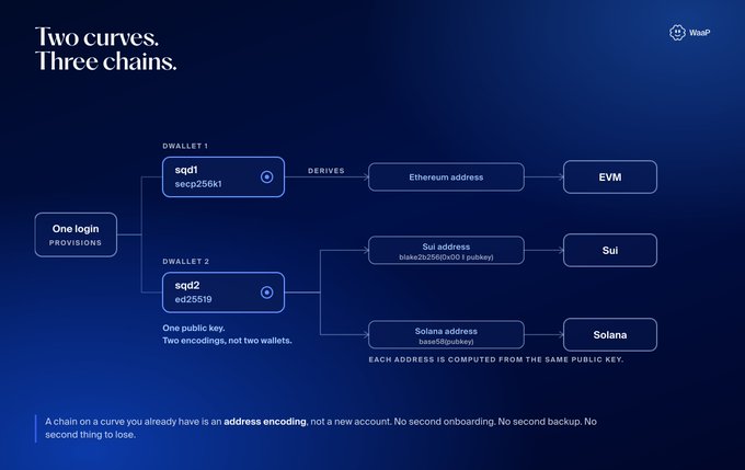 A technical diagram titled 'Two curves. Three chains.' by Wasp, showing how one login provisions two wallets (sqd1 and sqd2) that derive addresses for EVM, Sui, and Solana blockchains.