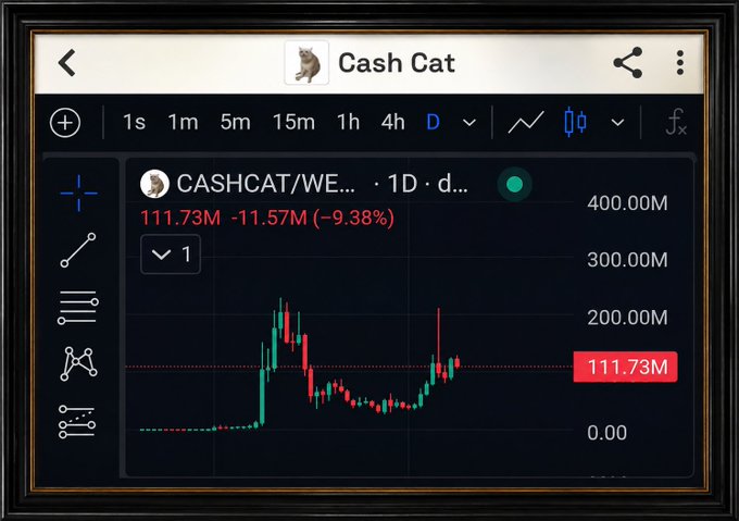 A trading chart for the cryptocurrency token CASHCAT/WE, showing a 1-day candlestick graph with a current price of 111.73M, down 9.38%, and a market cap scale reaching 400.00M.