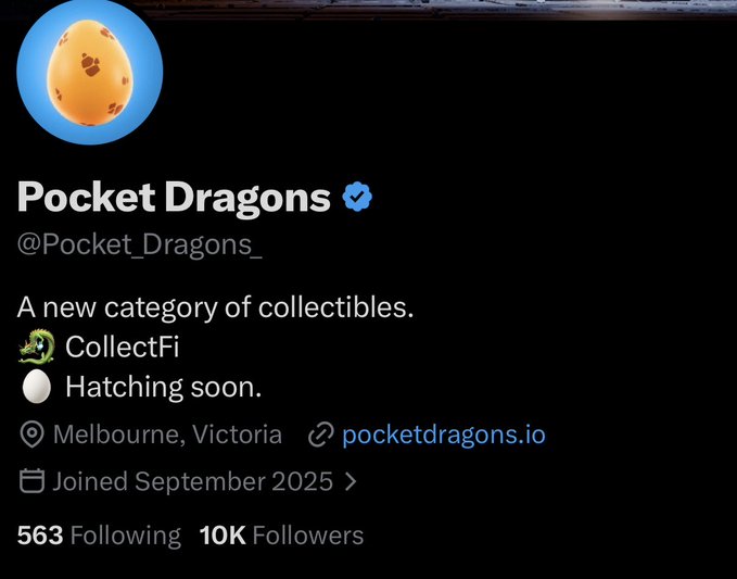 A Twitter/X profile for 'Pocket Dragons' (@Pocket_Dragons_) describes 'A new category of collectibles' with a hatching egg logo, located in Melbourne, Victoria, joined September 2025, with 10K followers.