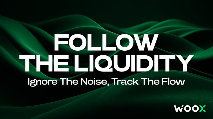 The image features a green background with white text that reads "Follow The Liquidity Ignore The Noise Track The Flow Wooxpro.com". This message encourages people to focus on the concept of liquid assets rather than following every trend or hype, as markets are driven by the flow of capital and not just social media buzz.