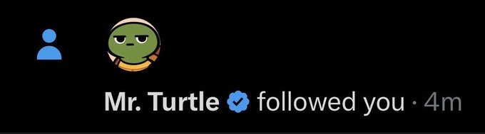 A Twitter/X notification shows that "Mr. Turtle," represented by a cartoon turtle emoji with a skeptical expression, followed you 4 minutes ago. The image's deadpan turtle avatar and the post's crude "am i going to get raped onchain" joke create a humorous juxtaposition, as the unflappable turtle silently judges the anxious crypto-related concern.