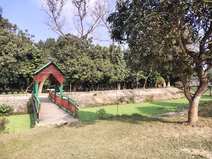 The image features a beautiful park with a wooden bridge, surrounded by lush green trees. The park also has a small pond nearby, adding to its serene atmosphere. In the background, there are people enjoying their time at the park, possibly walking or sitting on benches. A caption related to the post reads "Good night, X Family! Lately, I’ve been paying more attention to @useTria, and it's easy to see why the project is gaining momentum." This caption highlights the importance of the wooden bridge in the park as a focal point for visitors' experience.