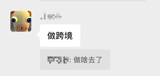 A chat conversation in Chinese where one user says '做跨境' (doing cross-border) and the other responds asking '做啥去了' (went to do what).