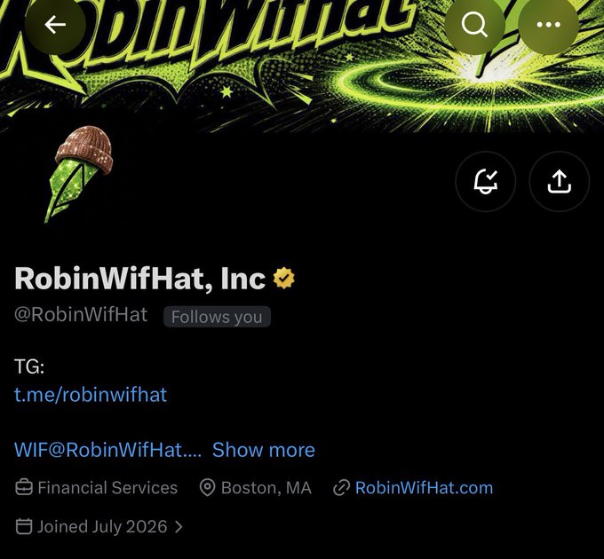 The image shows the X (formerly Twitter) profile page for "RobinWifHat, Inc" (@RobinWifHat), a verified financial services account based in Boston, MA, with a green-themed banner featuring an acorn character and comic-style explosion graphics. This profile accompanies a promotional post offering a guaranteed whitelist (WL) spot for 200k tokens, valued at $700, encouraging users to secure their whitelist position for the project.