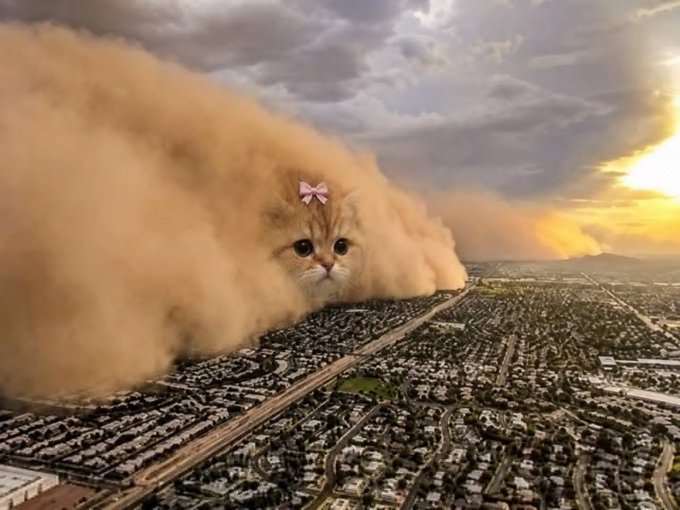 A colossal cat-headed dust storm towers over a sprawling cityscape at sunset, creating an apocalyptic yet whimsical scene that visually amplifies the post's message of being on the brink of an unstoppable, transformative "on-chain" revolution powered by $BUN (contract: 0x07EBB29a38Fbcb41563817e5E19f2ceC619C90D2).