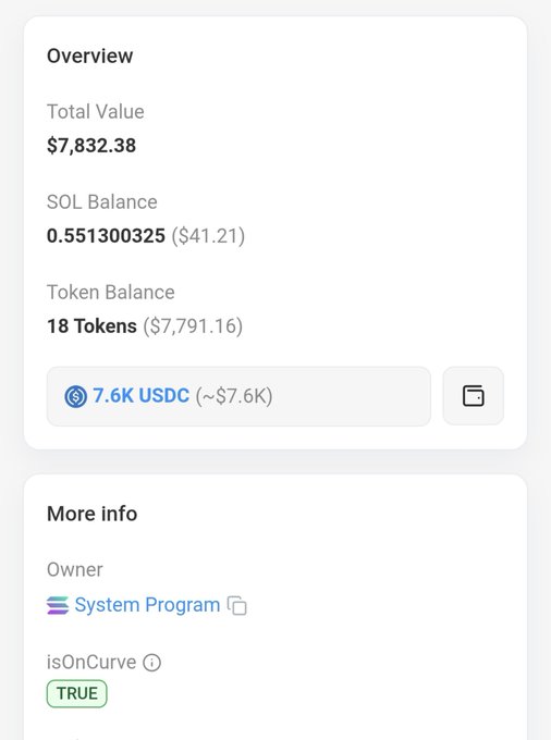 Blockchain wallet overview displaying a Total Value of $7,832.38, 0.55 SOL Balance, and a 'System Program' owner with 'isOnCurve' marked as TRUE.