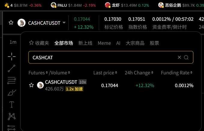 A screenshot of the Binance perpetual futures trading interface showing the newly launched CASHCATUSDT contract with a last price of 0.17044, up 12.32% in 24 hours, with 4.26M in futures volume and a 0.0012% funding rate—confirming that the CASHCAT perpetual contract has gone live on Binance.