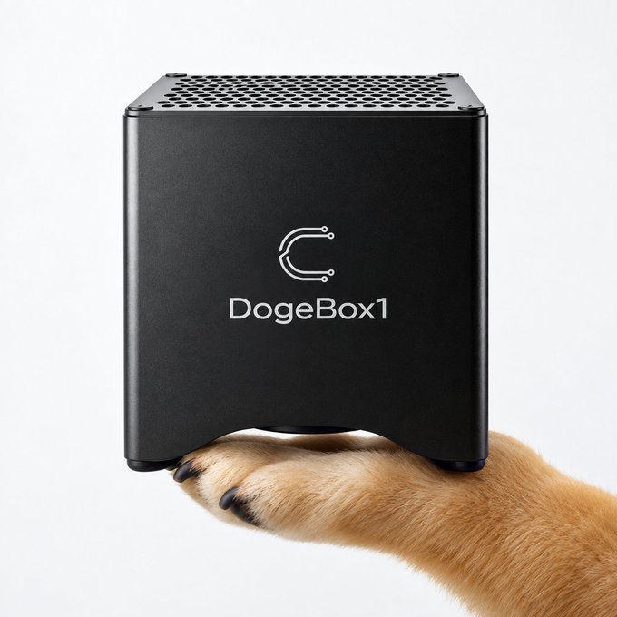 A black compact hardware device labeled 'DogeBox1' being held by a dog's paw.