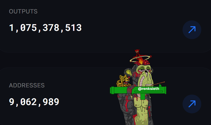 A cryptocurrency statistics dashboard showing 'OUTPUTS 1,075,378,513' and 'ADDRESSES 9,062,989', with a cartoon image of a green goblin creature holding a gun labeled '@renksleth'.