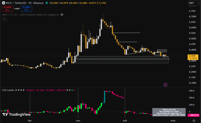 A TradingView chart of WLD/USDT on Binance shows the token's price at $0.3456 (down 3.11%), with the price having retraced from a June high near $0.72 to a key support level around $0.32, consistent with the post highlighting this zone as the last true support with significant spot accumulation.