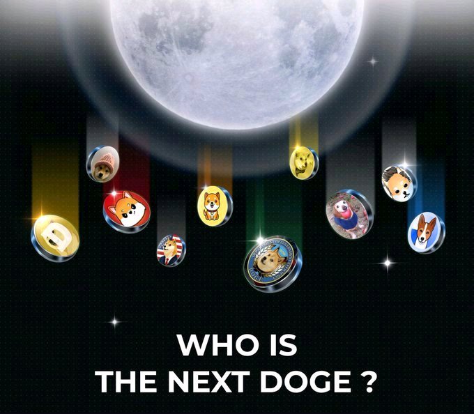 A large moon hangs over various dog-themed memecoins (including Dogecoin, Shiba Inu, and others) depicted as glowing medallions falling from the sky, with the text "WHO IS THE NEXT DOGE?" displayed below, inviting speculation about which dog-themed cryptocurrency will rise to prominence in 2026.