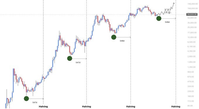 A logarithmic candlestick chart of Bitcoin ($BTC) showing price history across four halving cycles, with green markers highlighting bear market bottoms occurring at 547 and 548 days before each halving event, currently priced around $64,035. The image visually reinforces the post's argument that 548 days pre-halving has consistently marked cycle lows, suggesting the current ~600-day pre-halving position is not the time to be bearish but rather to look for long entries and buy dips.
