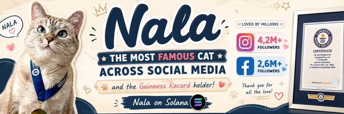 A promotional graphic for 'Nala,' described as 'THE MOST FAMOUS CAT ACROSS SOCIAL MEDIA' and a 'Guinness Record holder,' with 4.2M Instagram followers and 2.6M Facebook followers, including a note about 'Nala on Solana' and a Guinness certificate.
