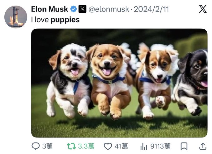 Tweet by Elon Musk (@elonmusk) dated 2024/2/11 stating 'I love puppies' above an image of four puppies running on grass, with engagement metrics showing 30K replies, 3.3K reposts, 4.1M likes, and 91.13M views.