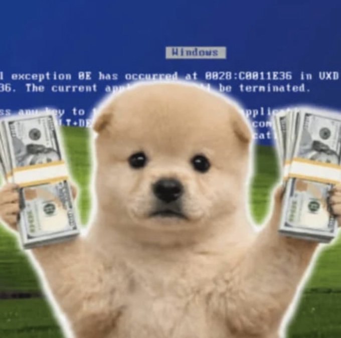 A meme featuring a small puppy holding stacks of US dollar bills in its paws, set against the iconic blue screen of a Windows error message ('A exception 0E has occurred...').