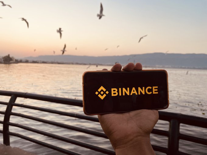 A hand holding a smartphone displaying the Binance logo in gold against a backdrop of seagulls flying over water at sunset.
