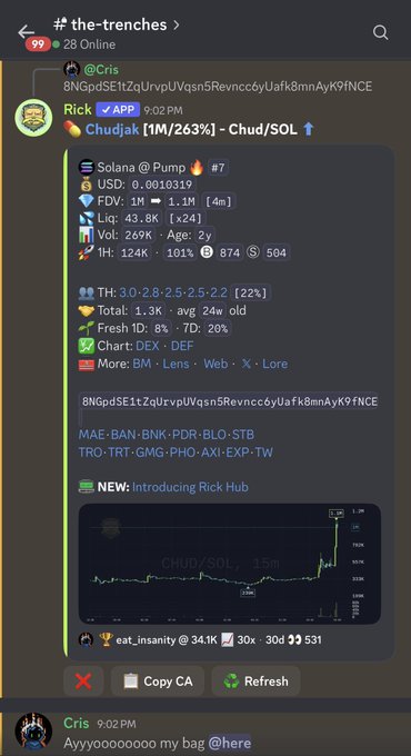 A Discord message in the '#the-trenches' channel from user Rick showing cryptocurrency analysis for token 'Chudjak' on Solana, displaying a 263% gain, a 1-hour price chart, and market metrics.