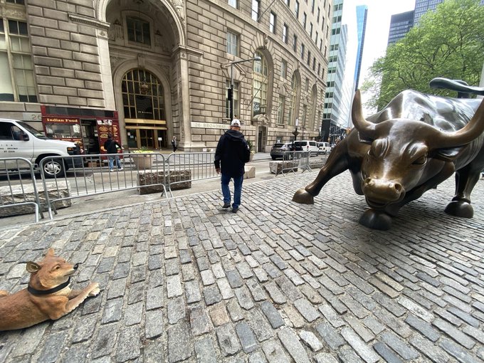 A street scene near the Charging Bull statue on Wall Street in New York City, featuring a dog lying on the cobblestone street, a person standing nearby, and the Indian Food restaurant 'Baluchi's' in the background.