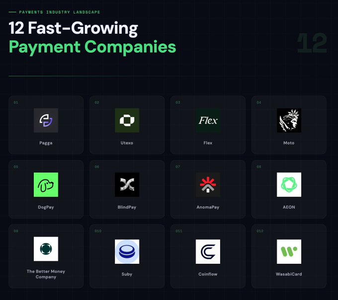 The image shows a list of twelve payment companies with their logos displayed against a black background, arranged in four rows of three. The first row features three companies, while the second row has two more, and the third row includes one company. Each logo is accompanied by its name or description, providing information about each payment company.