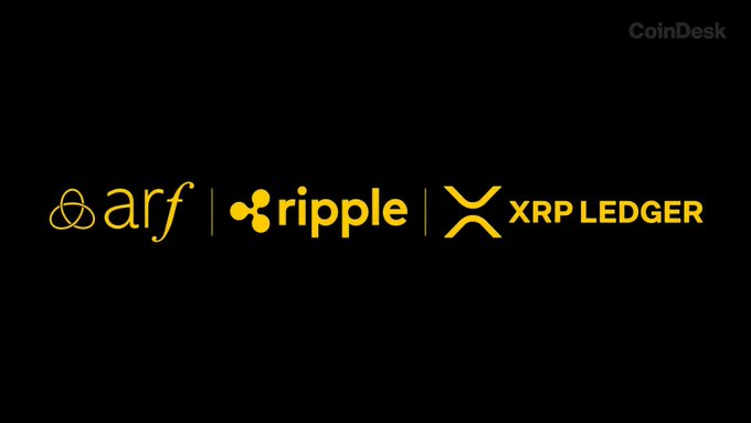 The image shows the logos of Arf, Ripple, and XRP Ledger on a black background, with a CoinDesk watermark. It illustrates Arf’s partnership with Ripple to provide RLUSD-powered settlement liquidity and short-duration working capital on the XRP Ledger.
