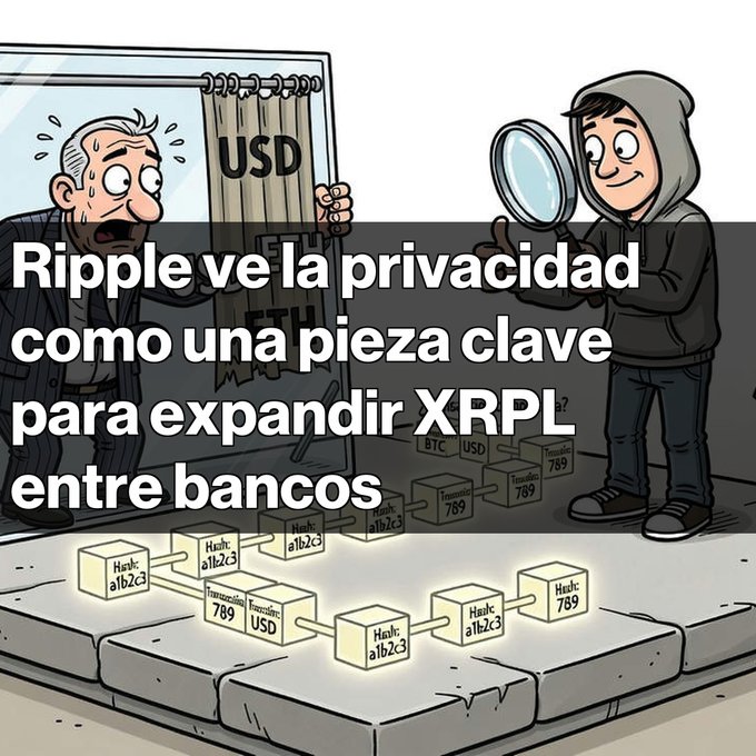 A cartoon illustration with Spanish text reading 'Ripple ve la privacidad como una pieza clave para expandir XRPL entre bancos', depicting a hooded figure with a magnifying glass examining blockchain blocks alongside a shocked older man near a 'USD' curtain.