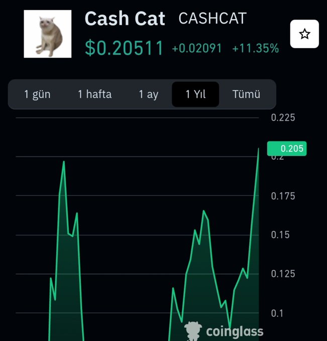The image shows a Coinglass price chart for Cash Cat ($CASHCAT), displaying a current price of $0.20511 with a 24-hour gain of +0.02091 (+11.35%) over a 1-year timeframe, with the chart showing a recent spike to an all-time high near $0.205.

The visual supports the post's claim of Cash Cat hitting its all-time high, with the sharp upward spike on the right side of the chart visually confirming the ATH breakout being celebrated.