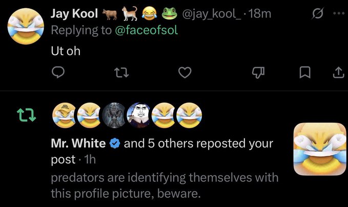 The screenshot captures a tweet exchange where Jay Kool replies "Ut oh" to @faceofsol, accompanied by a notification showing that "Mr. White and 5 others reposted your post" with the caption "predators are identifying themselves with this profile picture, beware." The image humorously amplifies the "is it over for me" post by suggesting that the original poster has unknowingly signaled themselves out to potential threats through their profile picture change.