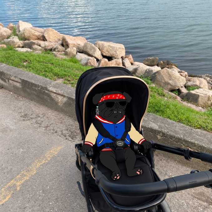 A black stroller sits on a paved path beside the sea, featuring a digital sticker of a cool-looking black dog wearing sunglasses and a varsity jacket superimposed on the seat.