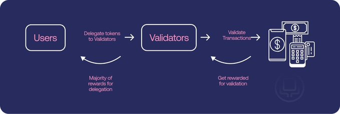 An infographic diagram illustrating a cryptocurrency staking process, showing users delegating tokens to validators who validate transactions and receive rewards.