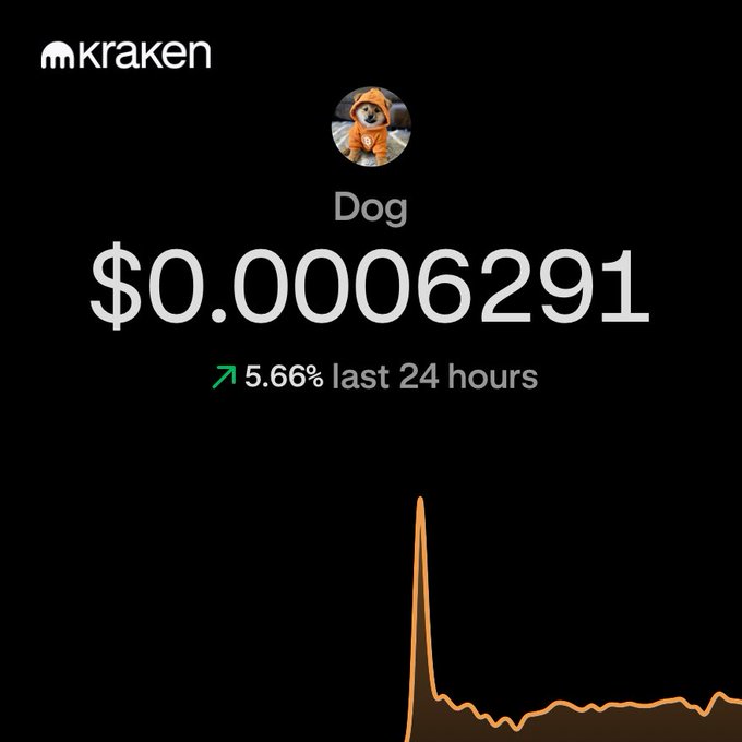Kraken cryptocurrency exchange interface showing the 'Dog' token priced at $0.00006291, up 5.66% in the last 24 hours, featuring an orange chart spike.