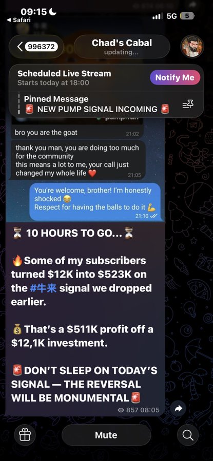A Telegram channel called 'Chad's Cabal' promotes a pump signal, claiming 'Some of my subscribers turned $12K into $523K' and boasting 'DON'T SLEEP ON TODAY'S SIGNAL.'