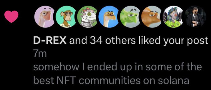 A notification showing that D-REX and 34 others liked a post reading 'somehow I ended up in some of the best NFT communities on solana,' featuring various NFT profile pictures.