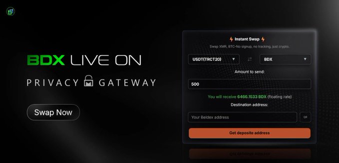 A screenshot of the BDX Privacy Gateway website featuring an "Instant Swap" tool with the text "BDX LIVE ON PRIVACY GATEWAY" and a swap interface showing USDT(TRC20) to BDX with an amount of 500.