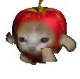 The image features a cartoon cat wearing an apple costume with its arms raised as if running or jumping, giving the impression of a playful and energetic character. The cat's face is also part of the design, making it look like a small animated creature. This unique and amusing depiction of a cat in an apple costume has been shared on various social media platforms, including Instagram, Tiktok, and Telegram. The image has received numerous likes and comments from people who find it entertaining or cute.