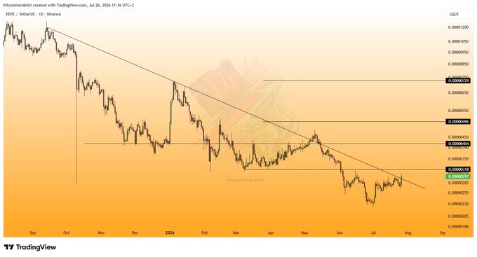 This is a TradingView chart showing the PEPE/TetherUS price action with key resistance levels marked at 0.00000496, 0.00000729, and potentially higher targets. The chart indicates a recent upward movement for PEPE, aligning with the post's outlook for a new upward wave.