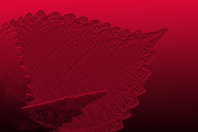 A close-up of a textured red leaf against a dark red background, with a circular red gradient light effect in the upper left.