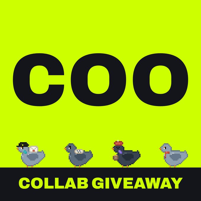 A vibrant yellow graphic featuring pixelated bird characters beneath bold "COO" text and a black banner reading "COLLAB GIVEAWAY," promoting a collaborative giveaway for @coorobinhood. The image visually reinforces the raffle announcement by showcasing the coo's pixel-art mascots that represent the project.