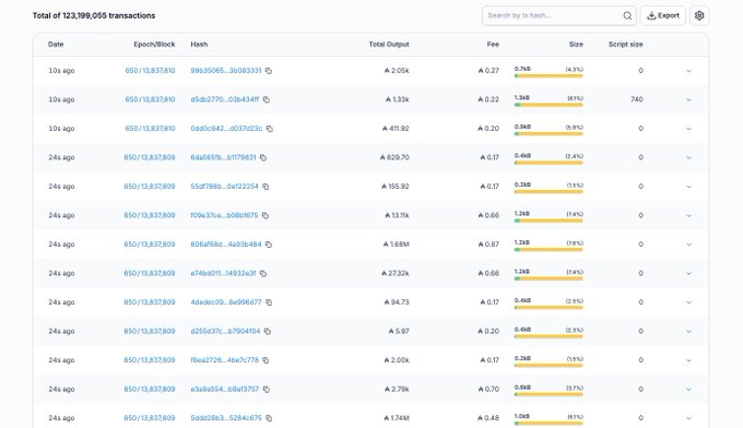 A screenshot of a Cardano blockchain explorer displaying a list of 123,199,055 transactions across epochs 13,810 and 13,811, showing details like hash IDs, total outputs (ranging from ₳5.97 to ₳629.70), fees, and block sizes. The table visually reinforces the post's message by illustrating Cardano's consistent, block-by-block transactional activity.