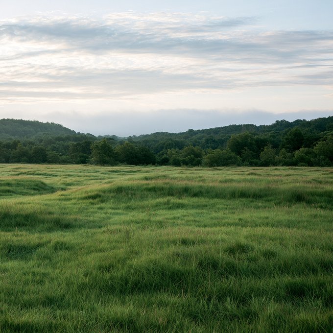 A serene landscape photograph showing a vast green grassy meadow in the foreground, with rolling tree-covered hills in the distance under a cloudy, pale sky at what appears to be early morning or dusk.