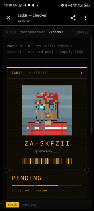 A mobile app interface shows a pixel-art character card labeled 'ZA-SKFZII' with a 'PENDING' whitelist status.