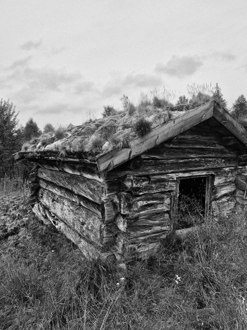 A black-and-white photograph of an old, weathered log cabin with a sod (grass-covered) roof, featuring a small dark doorway in an open field.