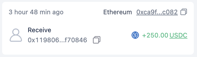 A transaction record showing a received transfer of +250.00 USDC on Ethereum to address 0xca9f...c082 from sender 0x119806...f70846, posted approximately 3 hours 48 minutes ago, illustrating the post's humorous advice about hiding wallet digits by displaying only truncated address portions.