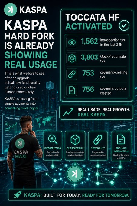 A Kaspa promotional graphic announcing the Toccata HF hard fork activation, showing stats including 1,562 introspection transactions, 3,803 OpZkPrecompile txs, and 753 covenant-creating txs.