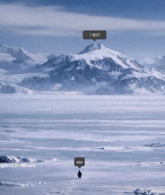 A meme showing a tiny figure labeled "you" in a vast snowy landscape with a distant mountain labeled "1 BTC", watermarked @BTCDontCare.